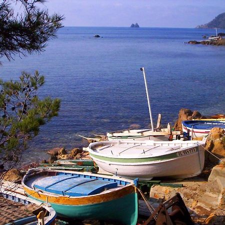 "L'Hippocampe", Climatise, 60 M2 , 2 Chambres, Tres Calme, Plage Des Sablettes Et Commerces A 3 Minutes A Pied, Wifi, Parking Gratuit, Lit King Size Ла-Сейн-сюр-Мер Екстер'єр фото