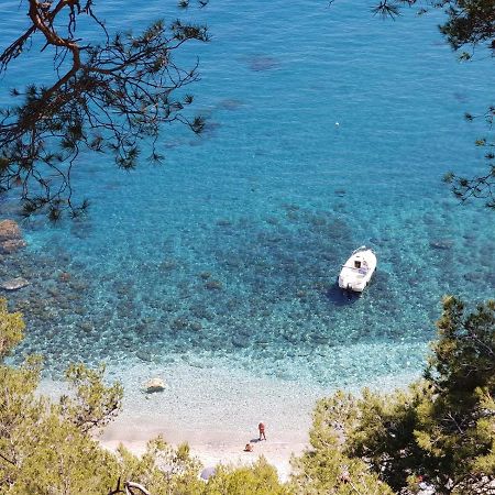 "L'Hippocampe", Climatise, 60 M2 , 2 Chambres, Tres Calme, Plage Des Sablettes Et Commerces A 3 Minutes A Pied, Wifi, Parking Gratuit, Lit King Size Ла-Сейн-сюр-Мер Екстер'єр фото