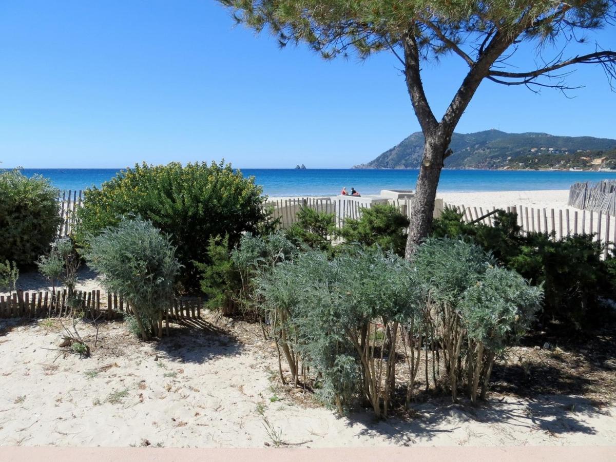 "L'Hippocampe", Climatise, 60 M2 , 2 Chambres, Tres Calme, Plage Des Sablettes Et Commerces A 3 Minutes A Pied, Wifi, Parking Gratuit, Lit King Size Ла-Сейн-сюр-Мер Екстер'єр фото