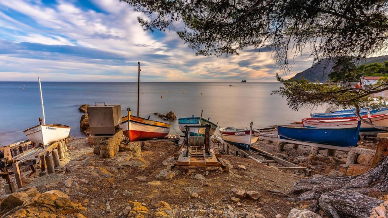 "L'Hippocampe", Climatise, 60 M2 , 2 Chambres, Tres Calme, Plage Des Sablettes Et Commerces A 3 Minutes A Pied, Wifi, Parking Gratuit, Lit King Size Ла-Сейн-сюр-Мер Екстер'єр фото