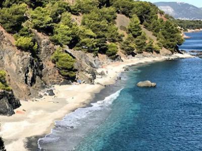 "L'Hippocampe", Climatise, 60 M2 , 2 Chambres, Tres Calme, Plage Des Sablettes Et Commerces A 3 Minutes A Pied, Wifi, Parking Gratuit, Lit King Size Ла-Сейн-сюр-Мер Екстер'єр фото