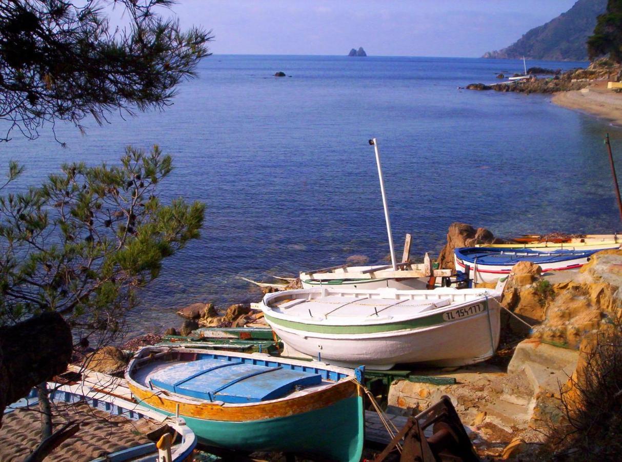 "L'Hippocampe", Climatise, 60 M2 , 2 Chambres, Tres Calme, Plage Des Sablettes Et Commerces A 3 Minutes A Pied, Wifi, Parking Gratuit, Lit King Size Ла-Сейн-сюр-Мер Екстер'єр фото