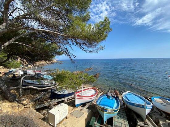 "L'Hippocampe", Climatise, 60 M2 , 2 Chambres, Tres Calme, Plage Des Sablettes Et Commerces A 3 Minutes A Pied, Wifi, Parking Gratuit, Lit King Size Ла-Сейн-сюр-Мер Екстер'єр фото